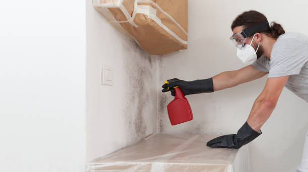 Professional Mold Removal technician working in Fredericksburg, VA