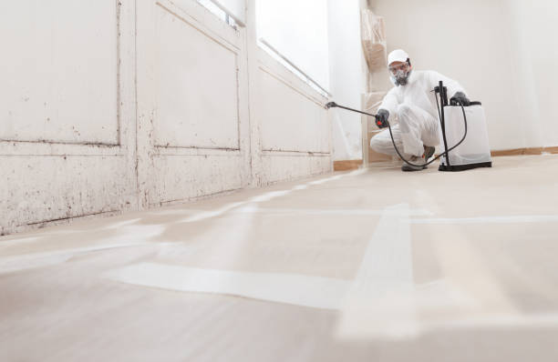 24/7 Emergency Mold Removal experts in Fredericksburg, VA
